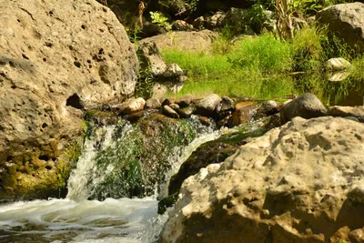 DSC_6377 (Large).JPG